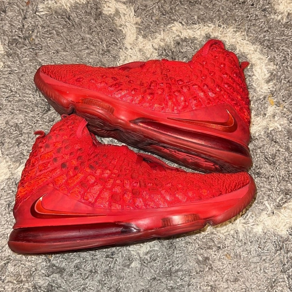 Lebron 17s